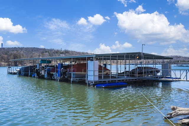 dock area with a water view