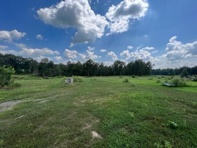 244 State Route 142, Bakersfield, MO 65609 - photo 2