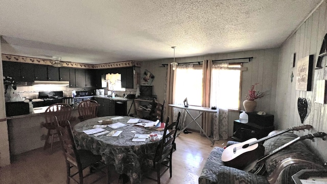 dining room with light wood-type flooring, sink, and a textured ceiling