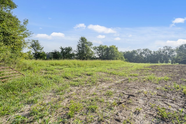 000 Shiloh Church Rd, Marionville, MO 65705 - photo 12