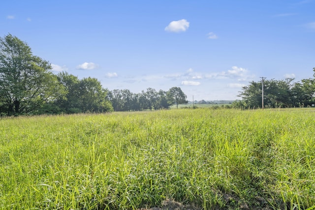 000 Shiloh Church Rd, Marionville, MO 65705 - photo 3