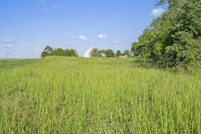 000 Shiloh Church Rd, Marionville, MO 65705 - photo 4