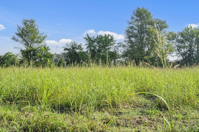 000 Shiloh Church Rd, Marionville, MO 65705 - photo 11