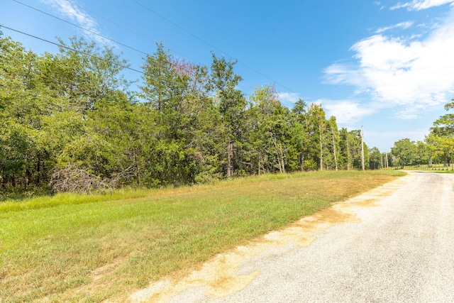 Listing photo 2 for 0 Savage Rd, Kirbyville MO 65679