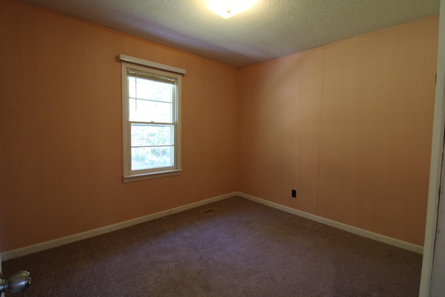 spare room with carpet and a textured ceiling