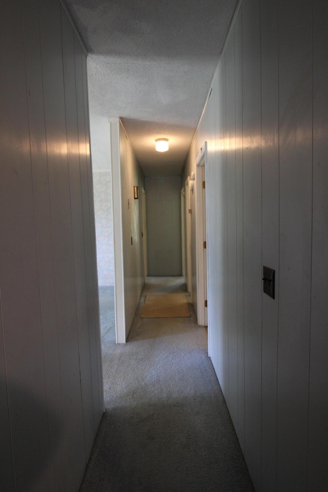 hallway featuring light colored carpet and wood walls