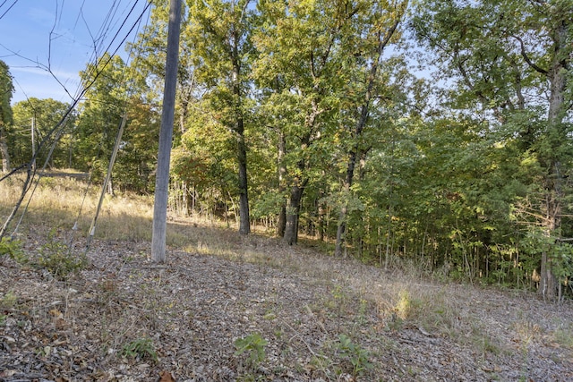 Listing photo 3 for LOT27 Talking Rocks Rd, Branson West MO 65737