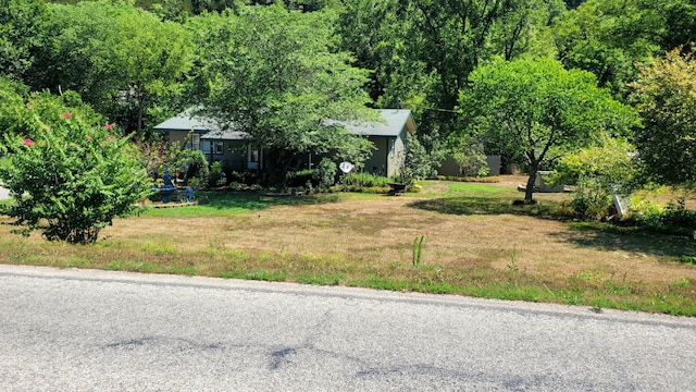 1201 Railey Creek Rd, Reeds Spring, MO 65737 - view of yard