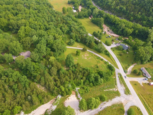 1201 Railey Creek Rd, Reeds Spring, MO 65737 - drone / aerial view with a wooded view