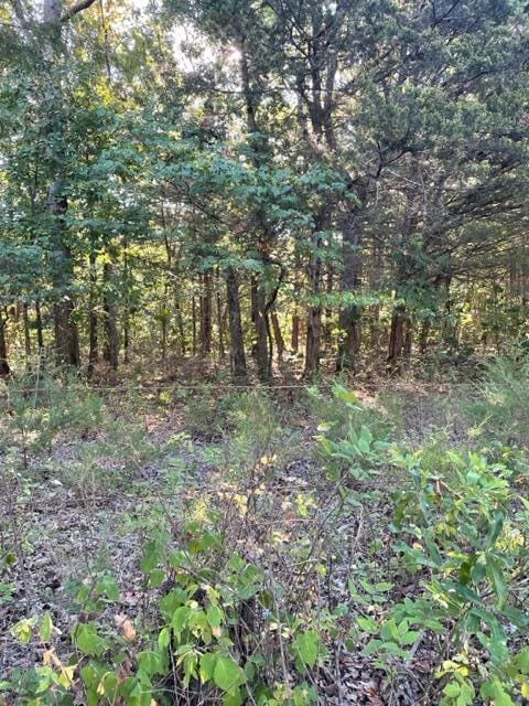 Tbd Cr 203, Wheatland MO, 65779 land for sale