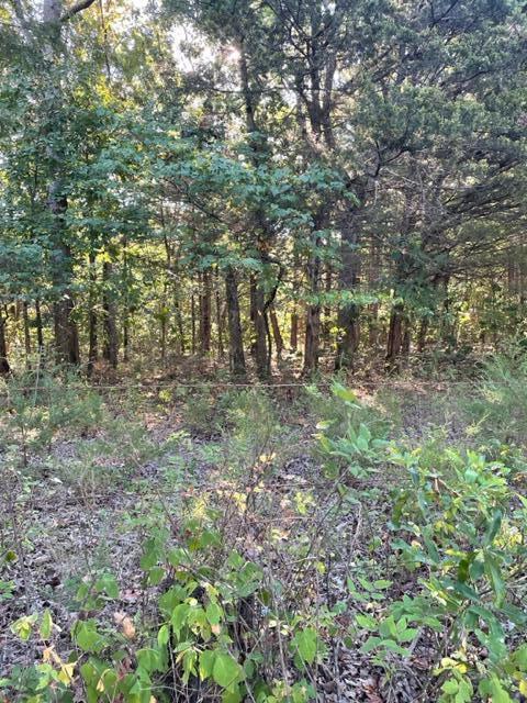 Tbd Cr 203, Wheatland, MO 65779 - photo 1