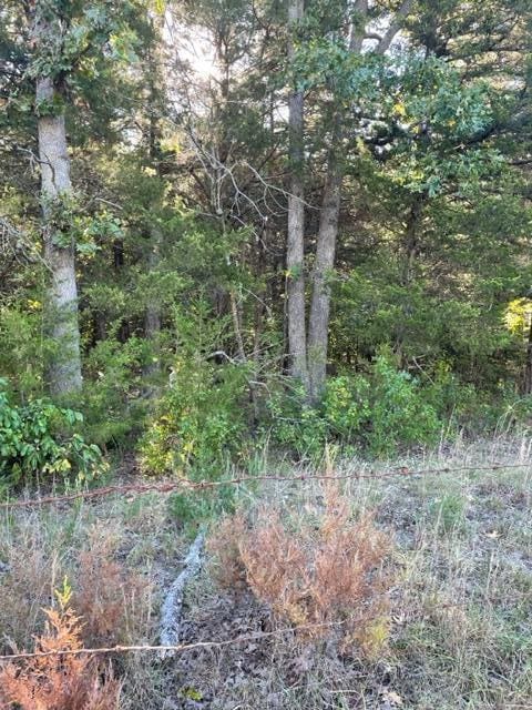 Tbd Cr 203, Wheatland, MO 65779 - photo 2