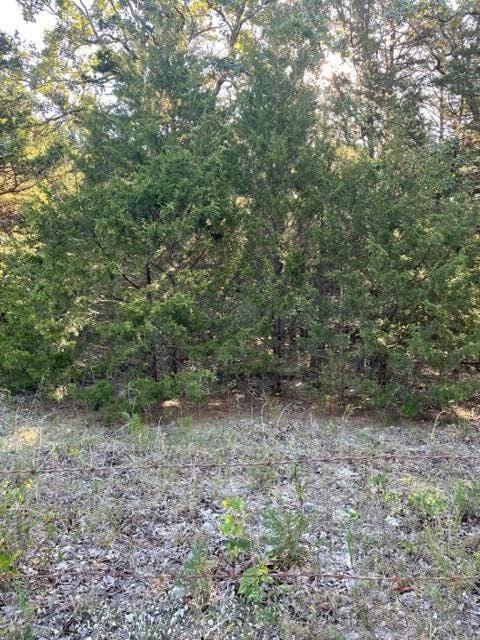 Tbd Cr 203, Wheatland, MO 65779 - photo 3