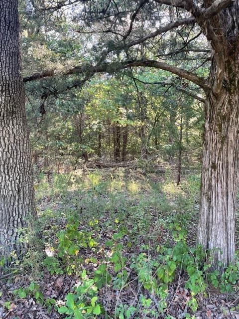 Tbd Cr 203, Wheatland, MO 65779 - photo 6
