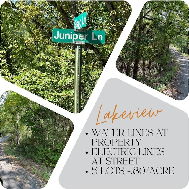 000 Juniper Ln, Shell Knob MO, 65747 land for sale