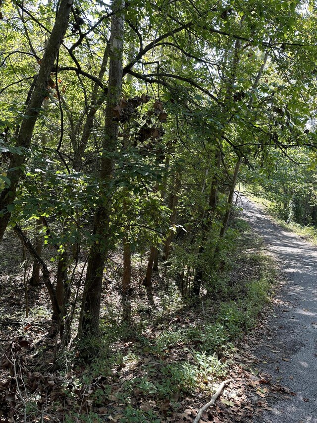 000 Juniper Ln, Shell Knob, MO 65747 - photo 4