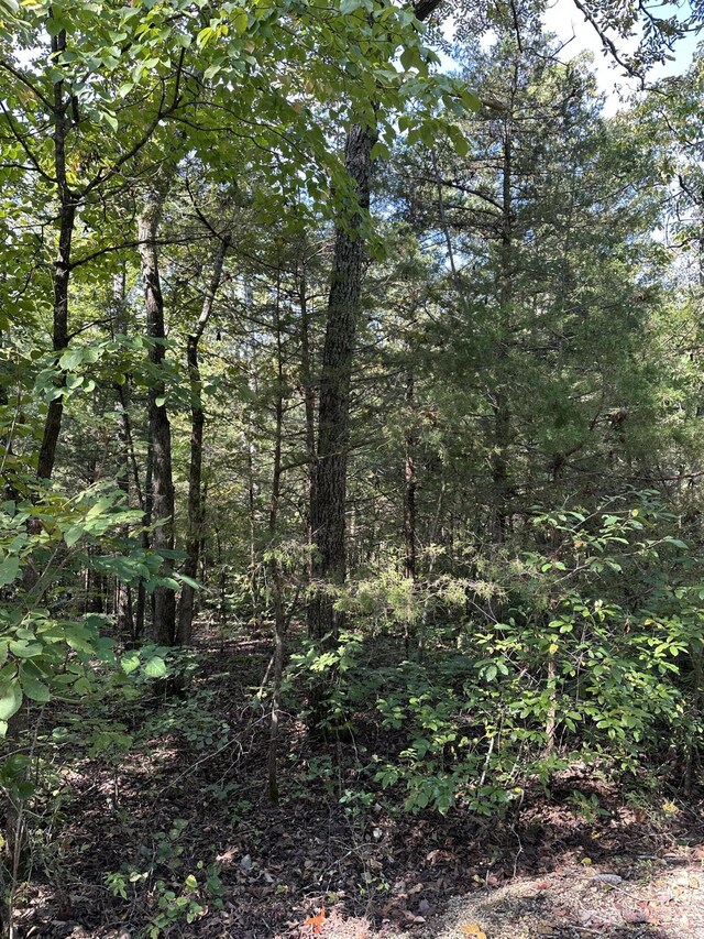 000 Juniper Ln, Shell Knob, MO 65747 - photo 5