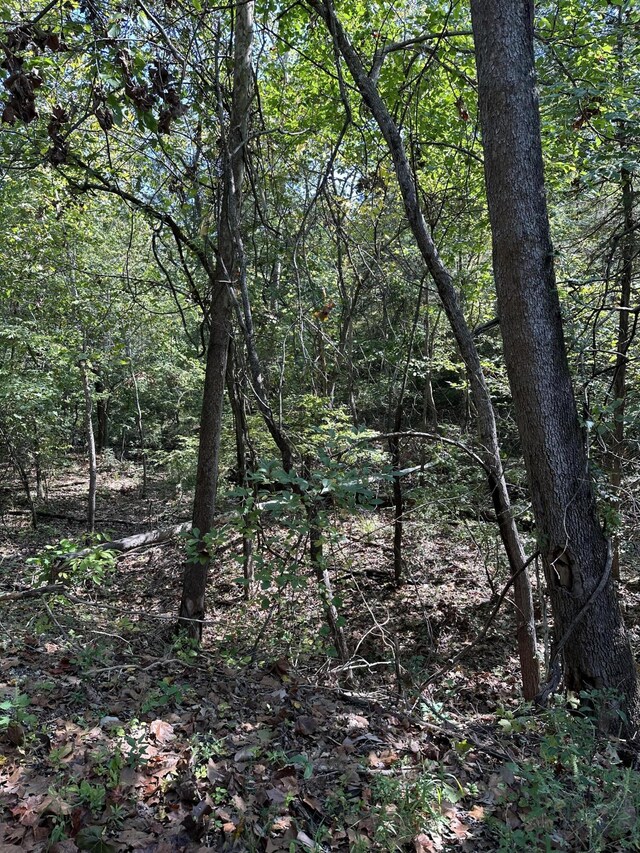000 Juniper Ln, Shell Knob, MO 65747 - photo 6
