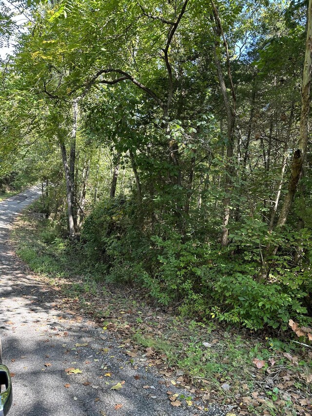 000 Juniper Ln, Shell Knob, MO 65747 - photo 3