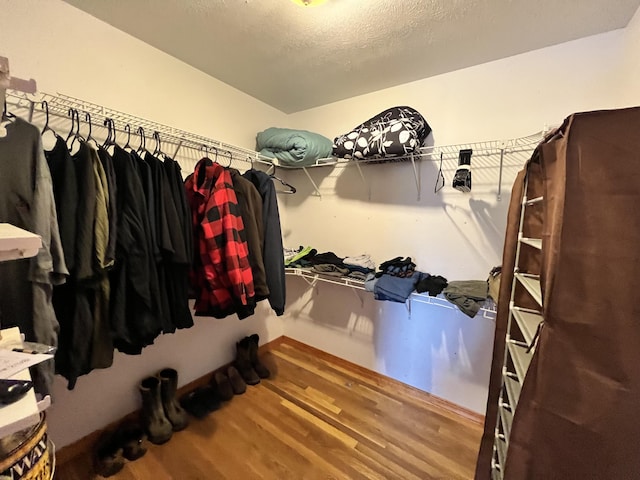 walk in closet featuring wood finished floors
