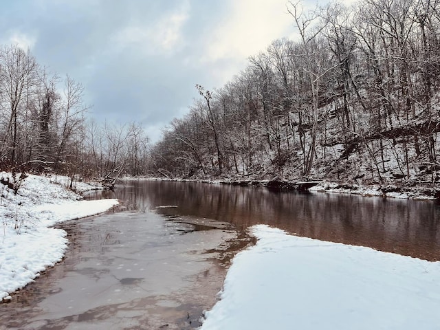 1100 Hattie Dr, Willow Springs, MO 65793 - yard covered in snow featuring a water view