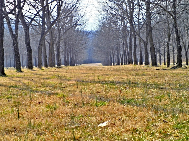 1100 Hattie Dr, Willow Springs, MO 65793 - view of yard
