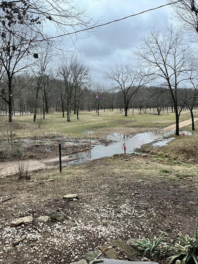 view of yard featuring a water view