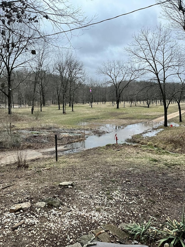 1100 Hattie Dr, Willow Springs, MO 65793 - view of yard with a water view