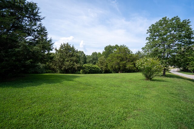 Listing photo 3 for LOT5 Johnson Way Ln, Kimberling City MO 65686