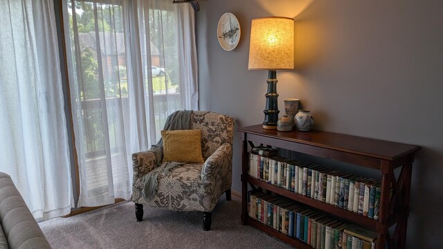 living area featuring carpet