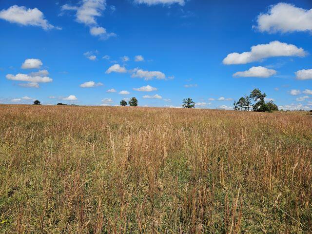 000 Kaylor Rd, Mountain Grove MO, 65711 land for sale