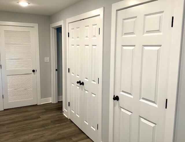 hallway featuring dark wood-type flooring