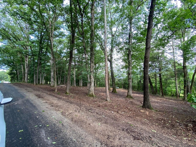 LOT98 Richmond Rd, Powersite MO, 65731 land for sale