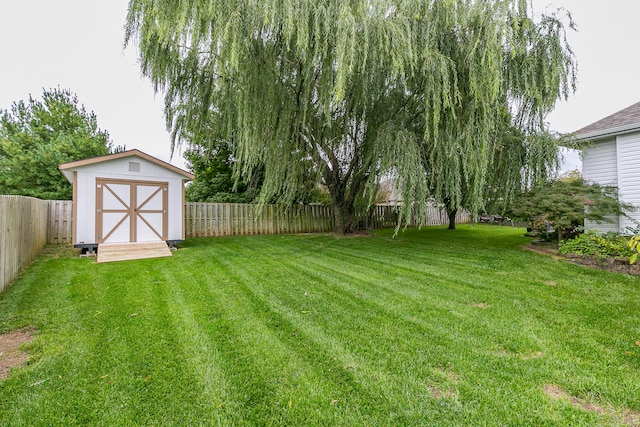 view of yard with a storage shed