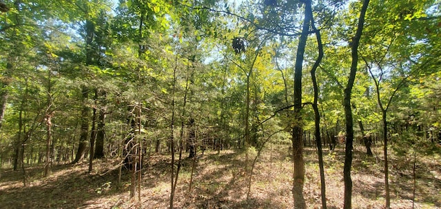 24 Adams Rd Lot3 4, Forsyth, MO 65653