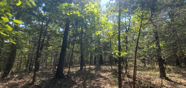 24 Adams Rd Lot3 4, Forsyth, MO 65653