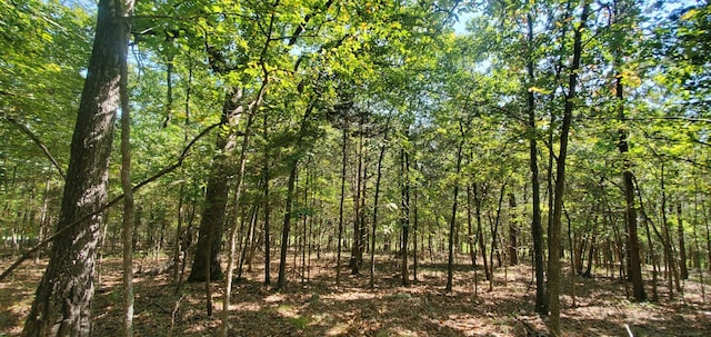 24 Adams Rd Lot3 4, Forsyth, MO 65653