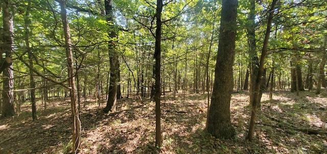 24 Adams Rd Lot3 4, Forsyth, MO 65653