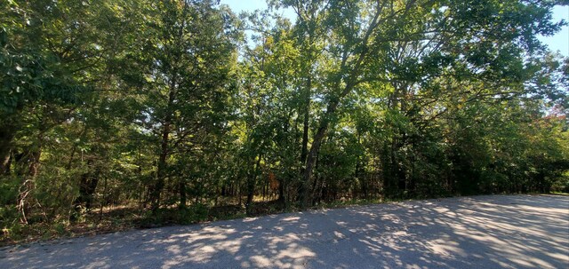 24 Adams Rd Lot3 4, Forsyth, MO 65653