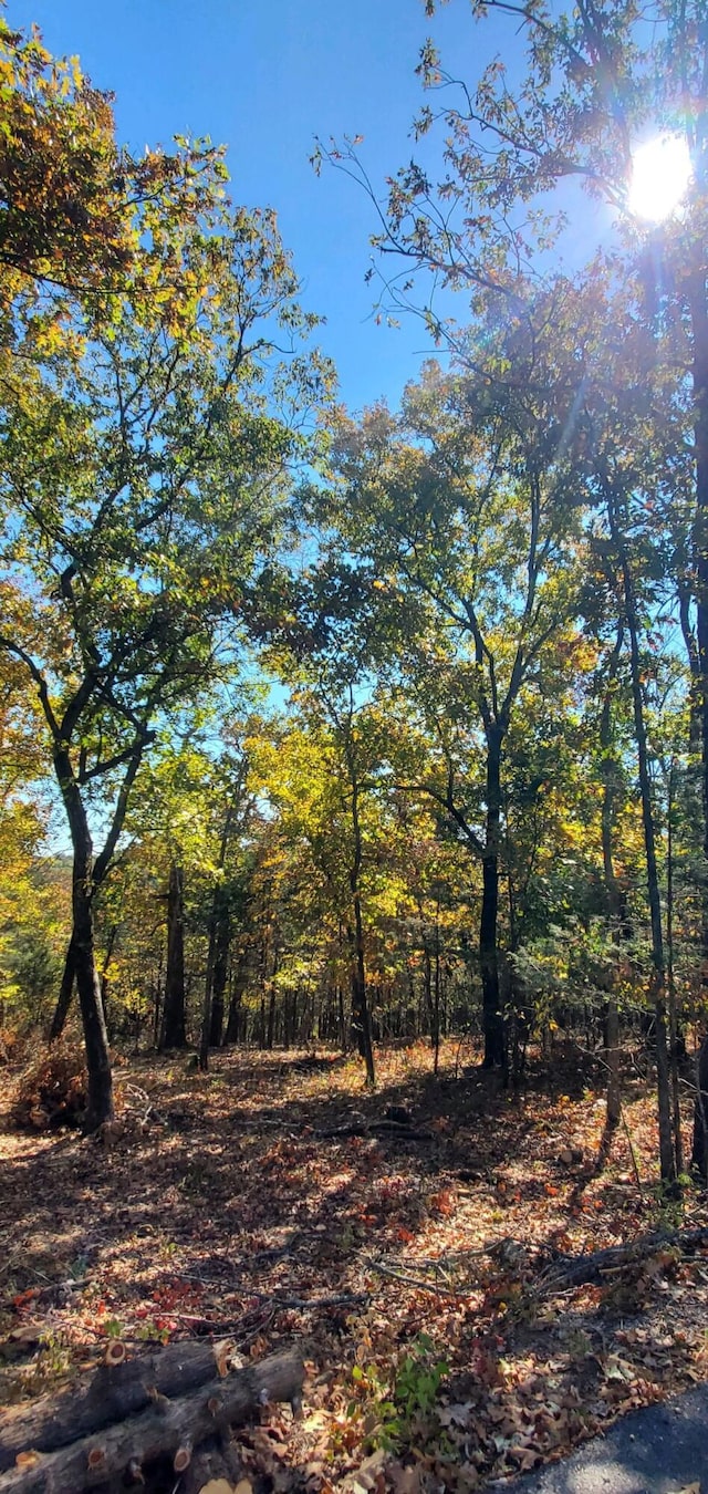24 Adams Rd Lot3 4, Forsyth, MO 65653