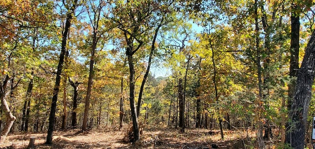 24 Adams Rd Lot3 4, Forsyth, MO 65653