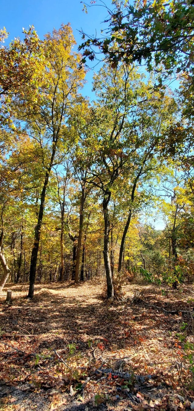 24 Adams Rd Lot3 4, Forsyth, MO 65653