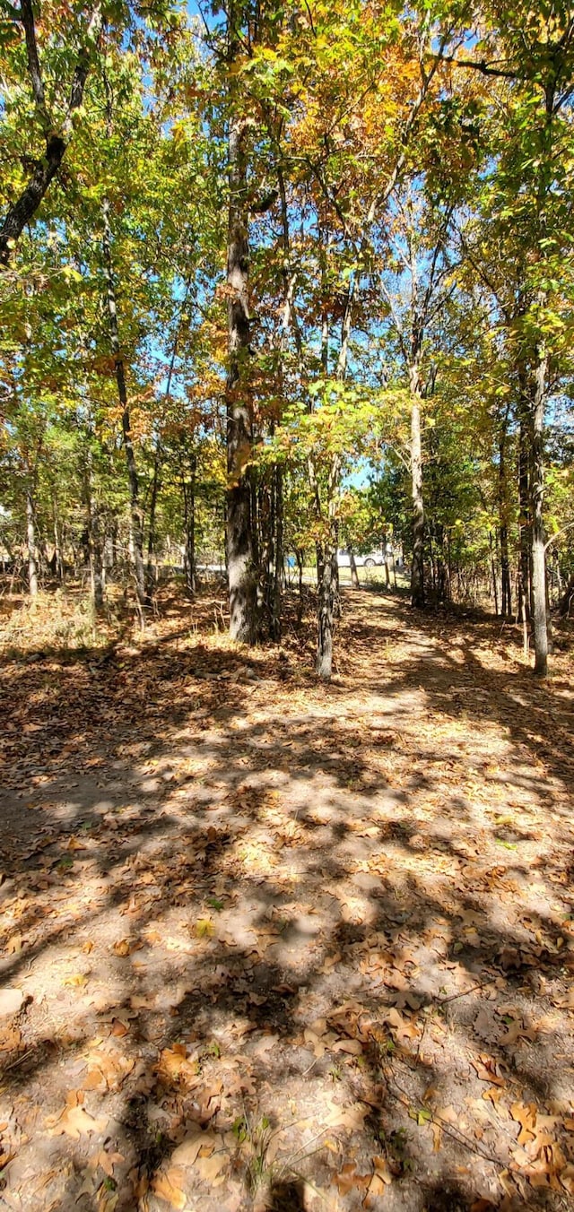 24 Adams Rd Lot3 4, Forsyth, MO 65653