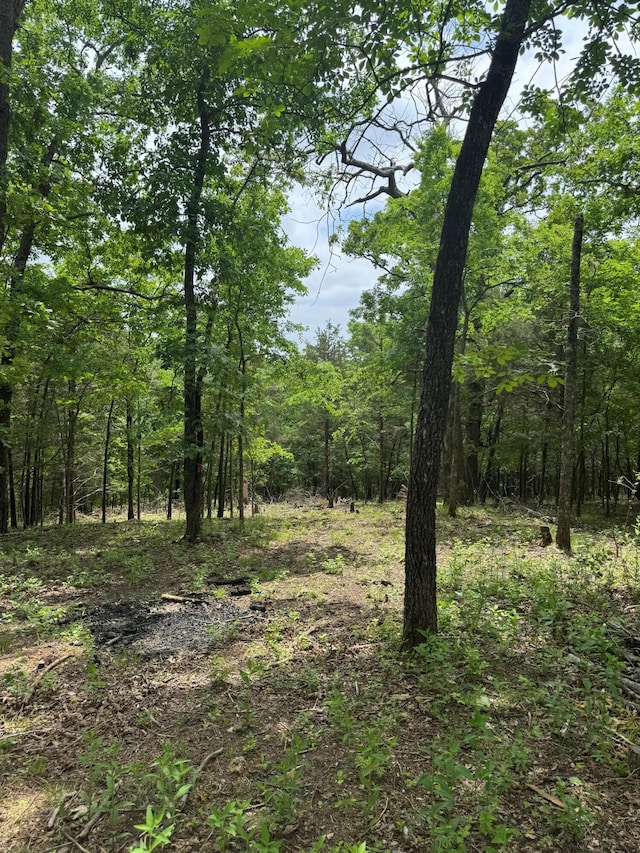 24 Adams Rd Lot3 4, Forsyth, MO 65653