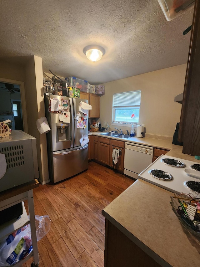 kitchen with sink, white appliances, a textured ceiling, extractor fan, and light wood-type flooring