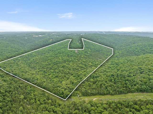 TBD Northwoods Dr, Kimberling City, MO 65686 - photo 8