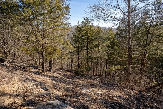 TBD Northwoods Dr, Kimberling City, MO 65686 - photo 17