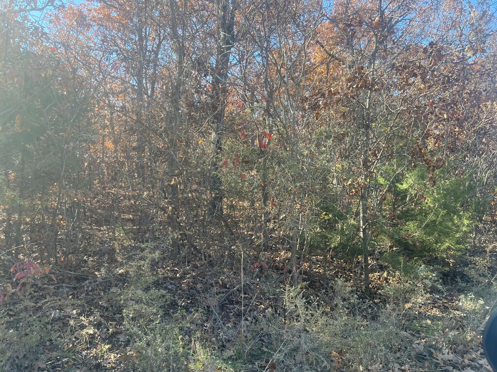 000 E 348th Rd, Humansville, MO 65674 - photo 1
