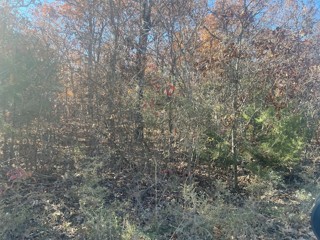 000 E 348th Rd, Humansville, MO 65674 - photo 1