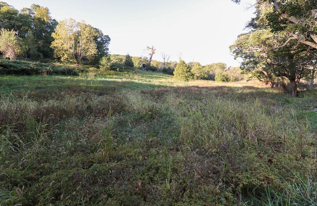 view of landscape with a rural view